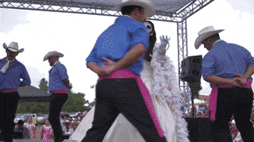 day of the dead dancing GIF by Suavecito
