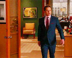 the good wife attorney GIF