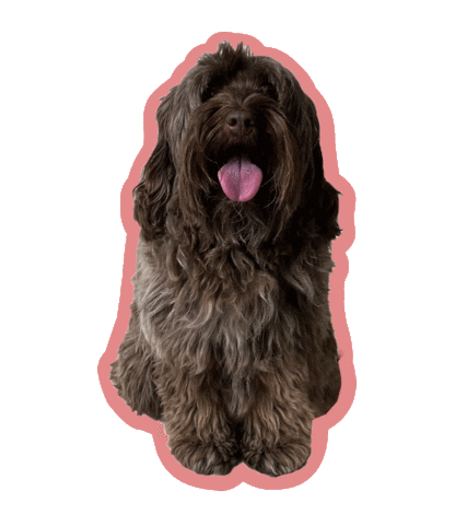 Dog Sticker