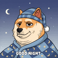 Sleepy Good Night GIF by Doge Pound
