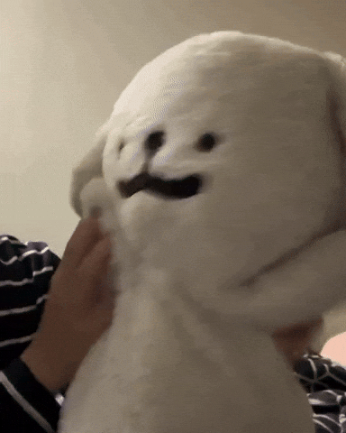No Way What GIF
