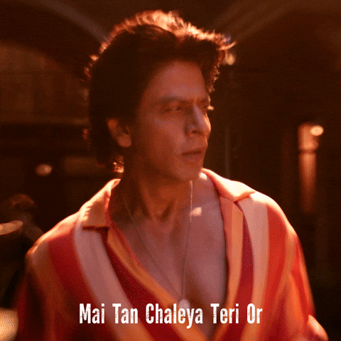 Shah Rukh Khan Romance GIF by Red Chillies Entertainment