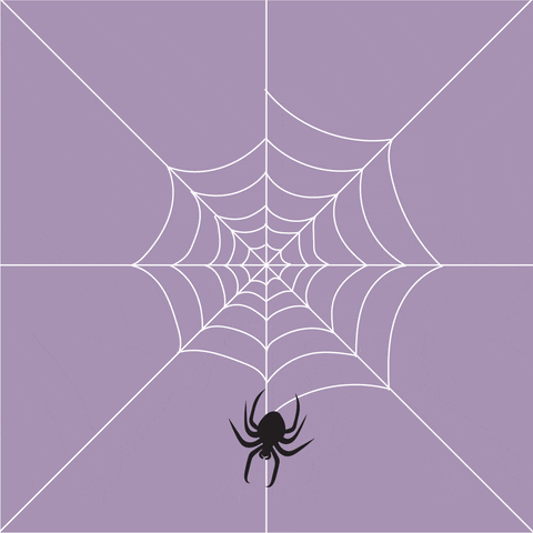 Spider Web Halloween GIF