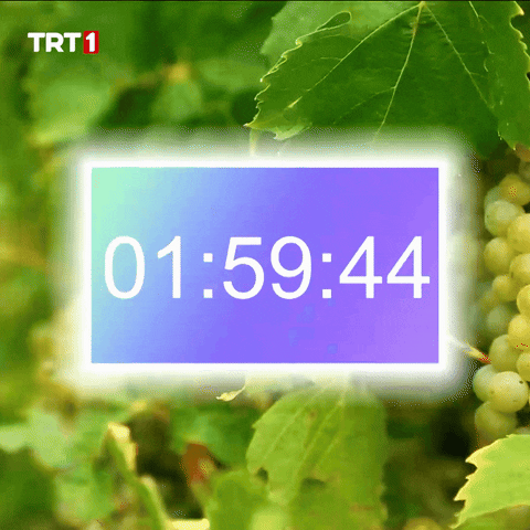 New Year Waiting GIF by TRT
