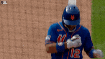 Celebrate Home Run GIF by New York Mets
