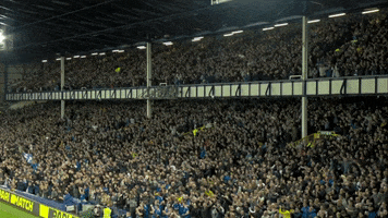Celebrate Goodison Park GIF by Everton Football Club