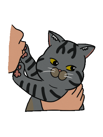 Cat Sticker