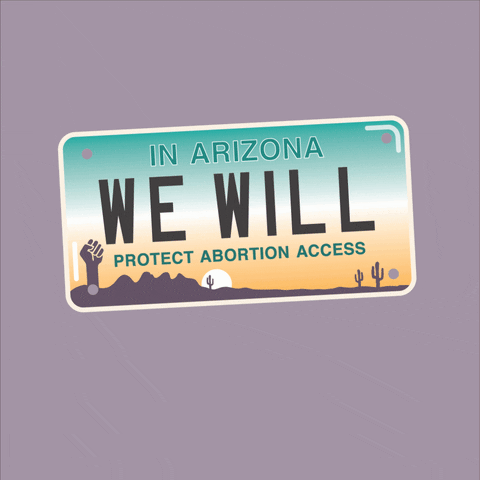 Digital art gif. Arizona license plate featuring a desert scene dancing against a gray background reads, “In Arizona, we will protect abortion access.”