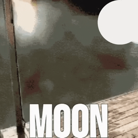 To The Moon Space GIF by The Moon Party