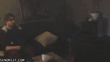 dog fetch GIF by Cheezburger