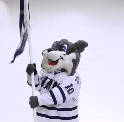 college sports wildcats GIF by University of New Hampshire