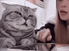 Talking Blah Blah Blah GIF