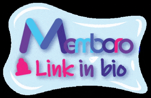 memboro celebrate link bio commission GIF