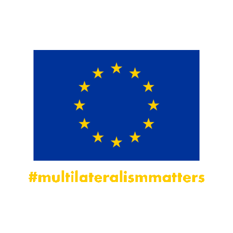 EU in Vienna Sticker