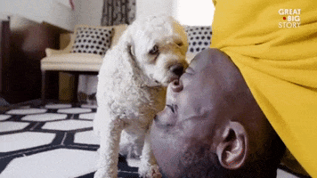 that tickles love you GIF by Great Big Story