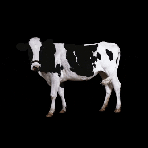 3D GIF