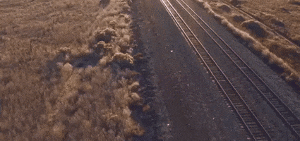 New Mexico GIF by 50statesproject