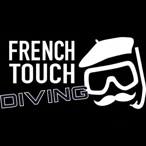 frenchtouchdiving scuba plongee frenchtouch plongeur GIF