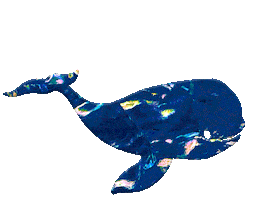 Finless Porpoise Vintage Sticker by shellang