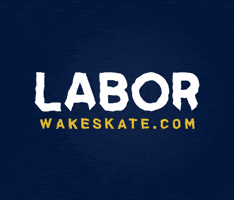 LABOR Wakeskate GIF