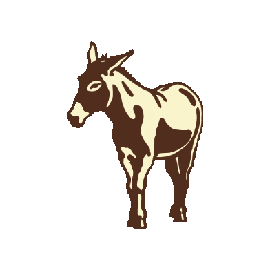 Donkey Brevard Sticker by Frank | Social Burro