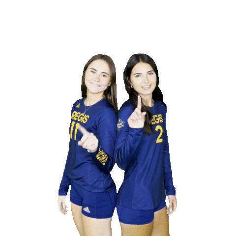 Regis University Volleyball Sticker