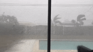 Raining Rain Storm GIF by Storyful