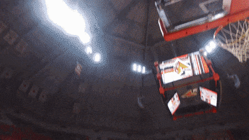 Happy Lets Go GIF by Ball State University