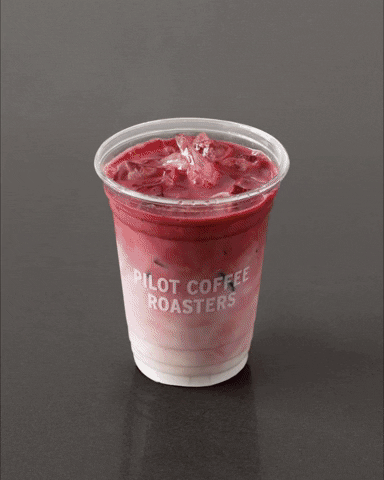 Iced Coffee Drink GIF by Pilot Coffee Roasters