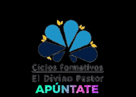 Eldivinopastor GIF
