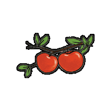 Apple Fruit Sticker by vank