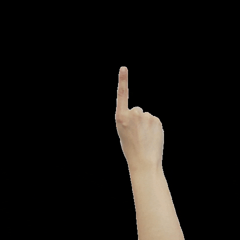 Studiocooliejoelie GIF