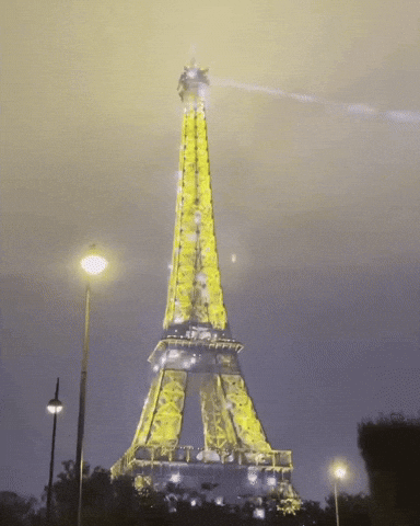 Eiffel Tower Paris GIF
