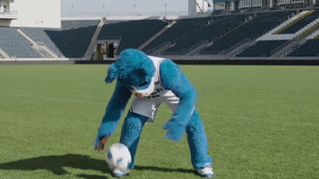 Mascot Sixers GIF by Philadelphia Union