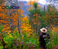 Claude Monet Impressionism GIF