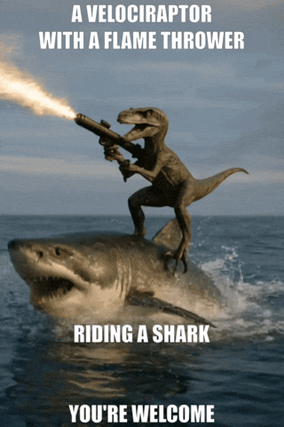 Shark GIF