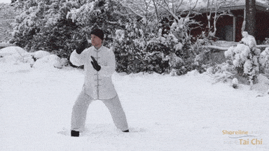 Tai Chi Taiji GIF by Shoreline Tai Chi
