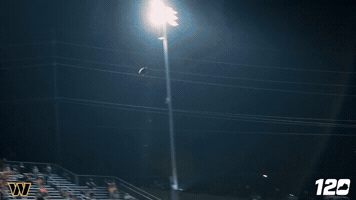 Touchdown GIF