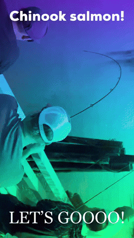 Seattle Washington GIF