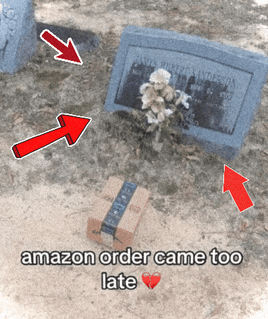 Beanbean424 GIF