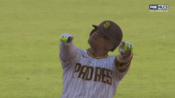 Vibing Juan Soto GIF by MLB