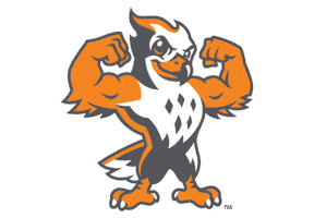 Utsouthern Sticker