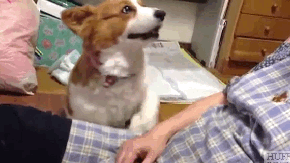https://media2.giphy.com/media/9Cn2niGNwj2lq/source.gif