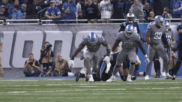 National Football League Sport GIF by Detroit Lions