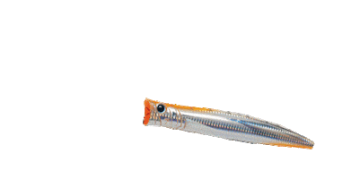 Palmsstamp Sticker by numata