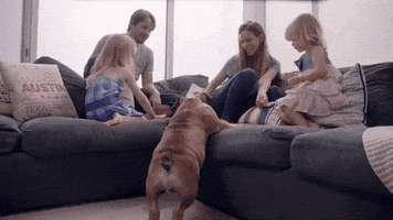 Video gif. A mom, dad, and two little girls sit on an L-shaped sectional sofa as a pudgy bulldog struggles to climb up and join them. 
