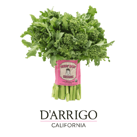 Fennel Romaine Sticker