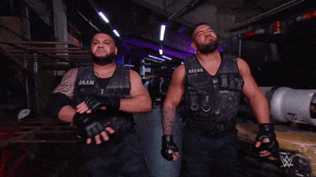 get out pain GIF by WWE