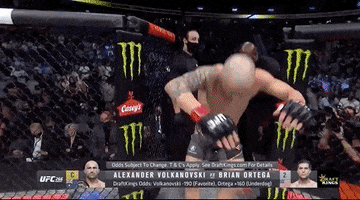 Alexander Volkanovski Sport GIF by UFC