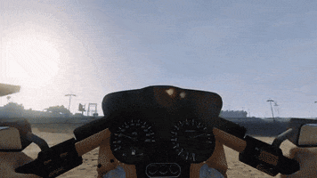 quacks gta GIF